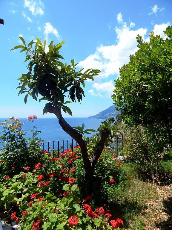 Amalfi View Cottage ภายนอก รูปภาพ